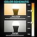 LOHAS A19 LED Bulb 100W Equivalent Daylight White 5000K(UL Listed), 1300LM E26 Medium Screw Base LED Lamps, Energy Efficient 13.5W Non- Dimmable Light Bulb for Chandelier, Home Lighting, 4 Pack