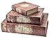 Bellaa 28151 Book Boxes The Holy Bible Secret Storage Set of 3