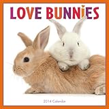 Love Bunnies 2014 Wall (calendar) by 