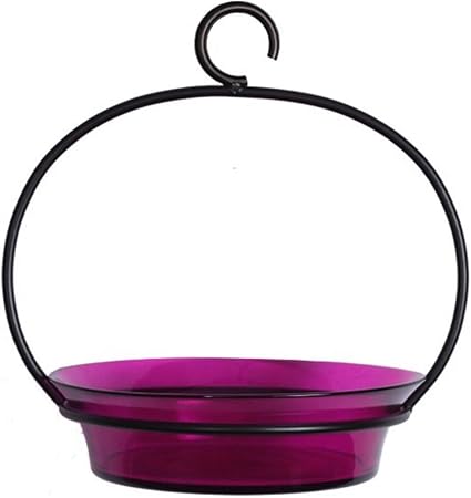 Amazon Com Cuban Small Glass Birdbath Bird Feeder G444vf Fuchsia