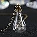 FM42 Dried Dandelion Seed Glass Locket Pendant Necklace with 26