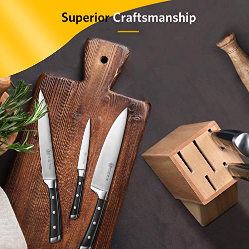 Knife Block SetCSS 6Piece Kitchen Knife Set with High Carbon