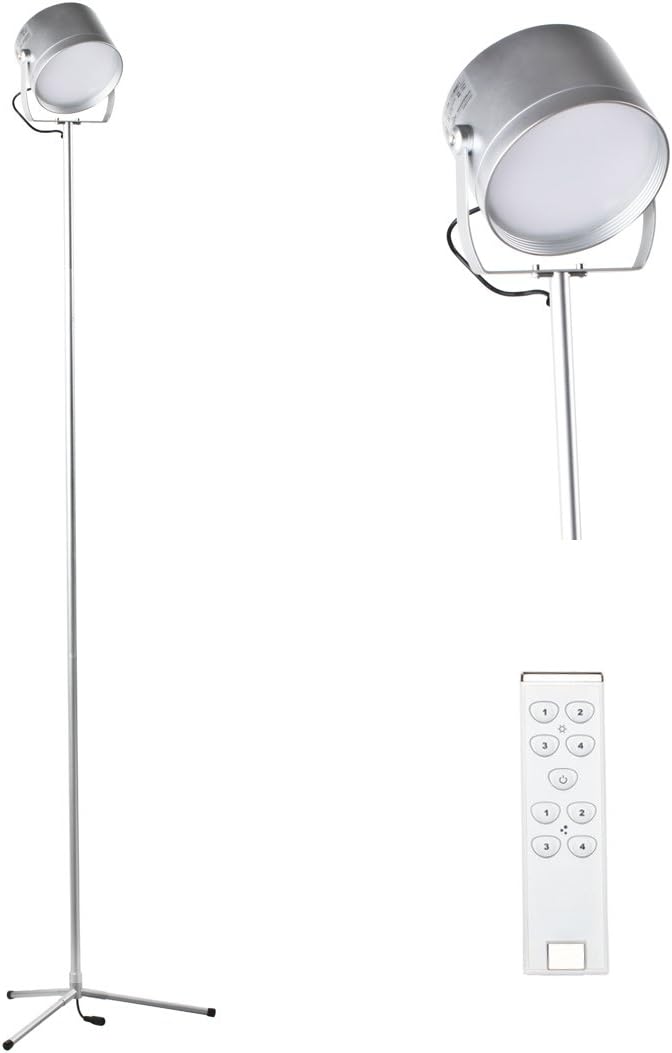 5 Feet LED Remote Control Led Floor Lamp for Living Room Bedroom 700 Lumens Bright (White)