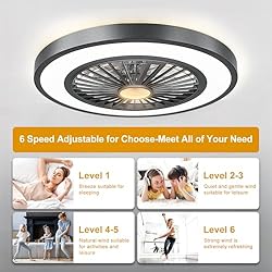 22'' Ceiling Fans with Lights and Remote, DC Motor