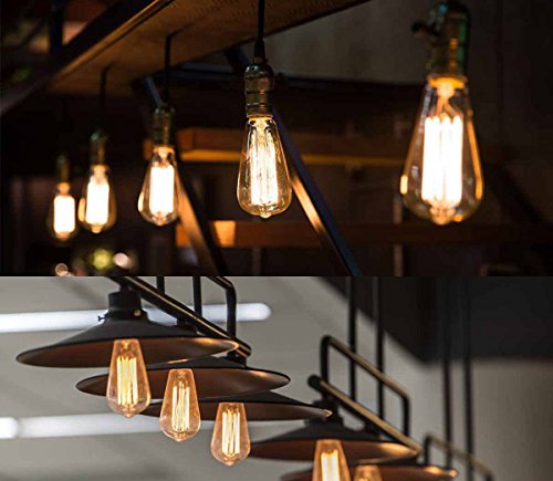 Bravelight Vintage Light Bulbs, Filament Light Bulbs,Edison bulbs ST64 E26 40W Dimmable,Squirrel Cage Filament Edison Lihgt Bulb for Restaurant Home Office Light Fixtures Decorative