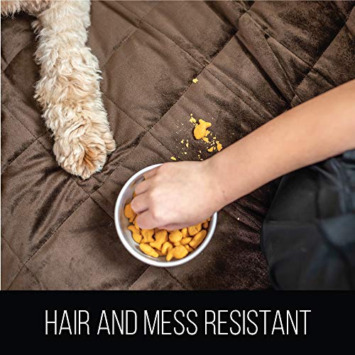 3 Gorilla+Grip+Resistant+Luxurious+Slipcover