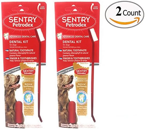 Petrodex Natural Toothpaste for Dogs Dental Kit Includes Finger Brush Peanut Butter Flavor Pack of 2