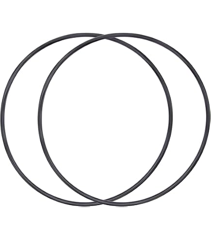 Hayward CX400G Filter Tank & Pump Lid O-Ring – 8 Inch Replacement Seal For Pool Filters