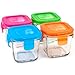 Wean Cube Glass Food Storage Garden Pack - Pack of Four (4), 4 oz Square containers Blue, Orange, Green, Purple