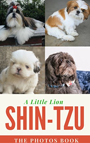 SHIH-TZU ,A LITTLE LION: photo book (a dog photo book series)