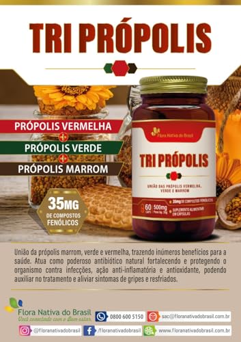 Tri Própolis 500mg 60 Capsulas - União das Própolis Vermelha, Verde e Marrom - Flora Nativa