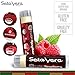 Seta Vera 6 Pack Lip Balm Organic Natural Beauty Products Chapstick Skin Care - Set - Best Treatment Moisturizer for Chapped Lips