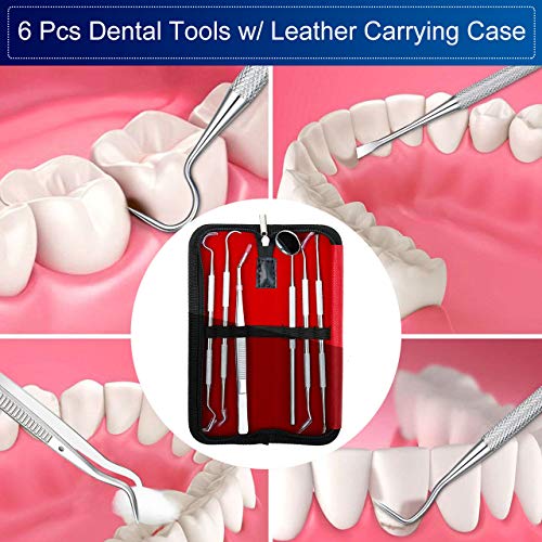 6 Dental+Tools+Cleaning+Stainless+Remover