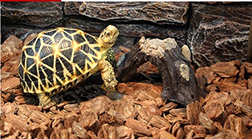 image for WORLD 9.99 MALL MM PET SUPPLIES Resin Ornaments Tree Root for Reptile 