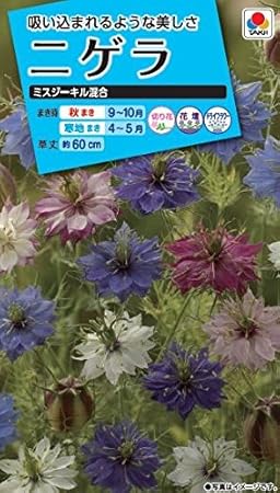 Amazon タキイ種苗 ニゲラミスジーキル混合 花