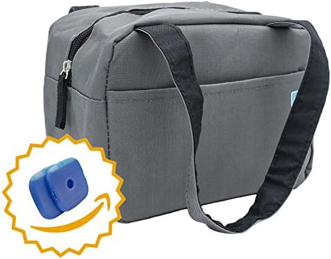 Homely Bliss Insulated Lunch Bag With 2 Free Ice Packs - Sylishand Compact Lunch Box Great for Commuting, Work and School. (Charcoal Grey)