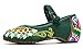 AvaCostume Women's Buddhism Totem Embroidery Casual Mary Jane Shoes, Green 39