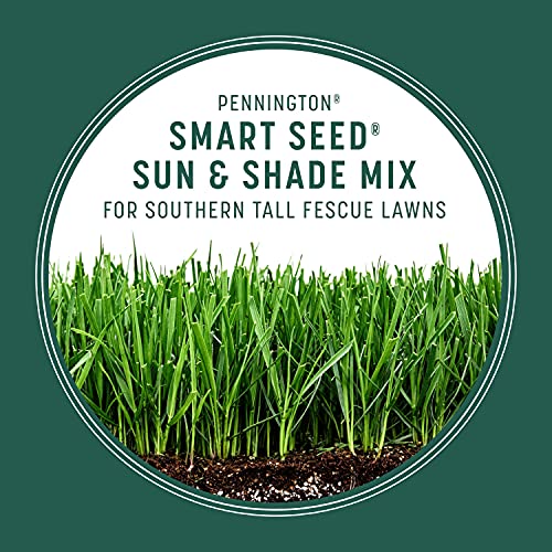 Pennington Smart Seed Sun and Shade Tall Fescue Grass Seed Mix for
