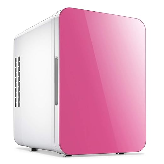 HLF Nevera TermoeléCtrica PortáTil Calor - Mini Refrigerador De 4 ...