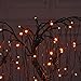 LIGHTSHARE 24-inch Halloween Willow Tree LED Spooky Bonsai Night Light,80 LED Lights, Battery Powered or DC Adapter(Included) (Orange)