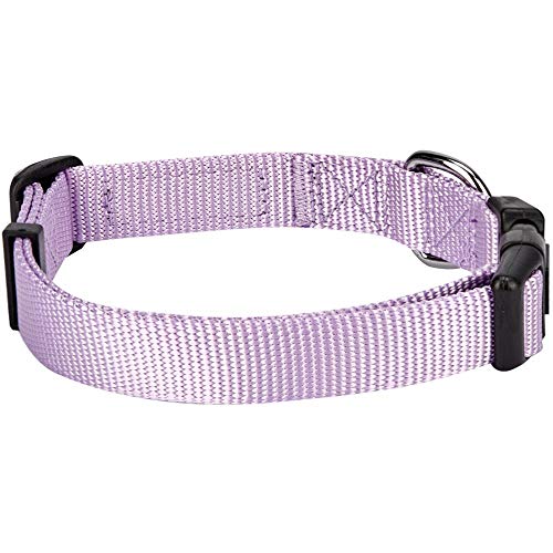 Blueberry Pet Essentials 22 Colors Classic Dog Collar, Lavender, X