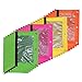 BAZIC Pencil Pouch 3 Ring Binder Pouch w/Rivet Enforced Rings Holes, Mesh Window, Bright Assorted Color Zipper Pouches Case, 24-Pack