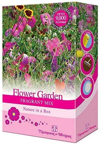 Mixed Flower Scented Garden Plant Seed Grow Your Own Cornflower, Sweet Pea & Stocks Providing Aroma and Colour 1 x 15g Pack by Thompson & Morgan