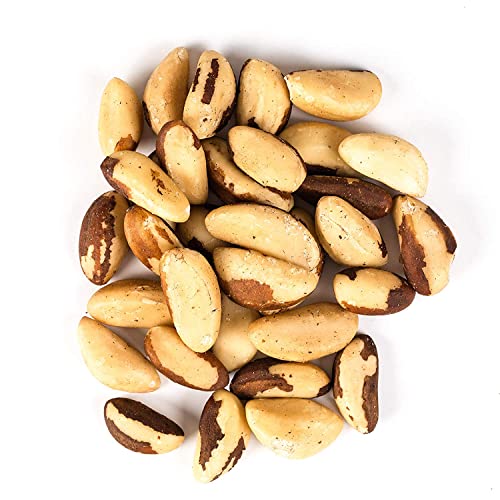 Brazil Nuts Roasted Salted 32 oz (2 Pounds) Reusable Container