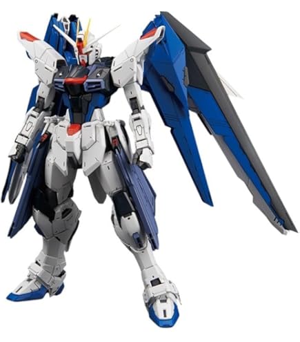 Amazon.com: MG 1/100 XM-X2 Cross Bone Gundam X-2 Ver.Ka