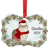 Tabby British Shorthair Cat Christmas Ornament 2024