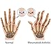 Pack of 2 - Arthritis Gloves Fingerless Copper Gloves Compression Medical Support Gloves Therapeutic Compression Men Woman Circulation Grip (Medium)