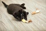 Petface Catkin's Mini Mice Tails Cat Toy 3 Piece Sisal Catnip view 2