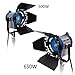 LimoStudio 950 Watts Photo Video Studio Tungsten Fresnel Continuous Spot Light Studio Lighting Kit, AGG1104