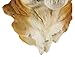 Things2Die4 Mountain Lion Head Mount Wall Statue Bust