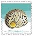Seashells Postcard Stamp USPS Forever Stamps, Roll of 100 - US Postage Card Stamps