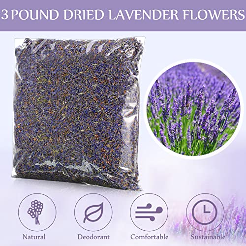Treela 3 Pound Dried Lavender Bulk Dry Lavender Buds Fragrant Lavender