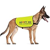 CENWA Adopt I’m A Foster Jacket Vest Adopt Dog Jacket Vest New Puppy Dog (I'm A Foster L)