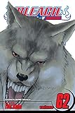 Bleach, Vol. 62: Heart of Wolf