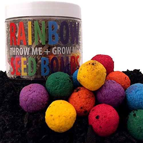 Grow A Rainbow Seed Bombs Flower Kit With Quartz Crystals Gift Set