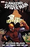 The Amazing Spider-Man: Flying Blind