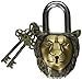 Functional Brass Garden Padlock in Lion Head