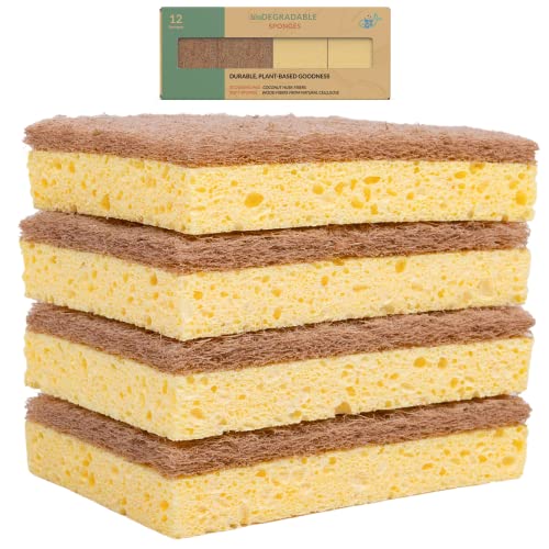 bioGo 12 Biodegradable Sponges Kitchen Eco Reusable Cellulose Sponges