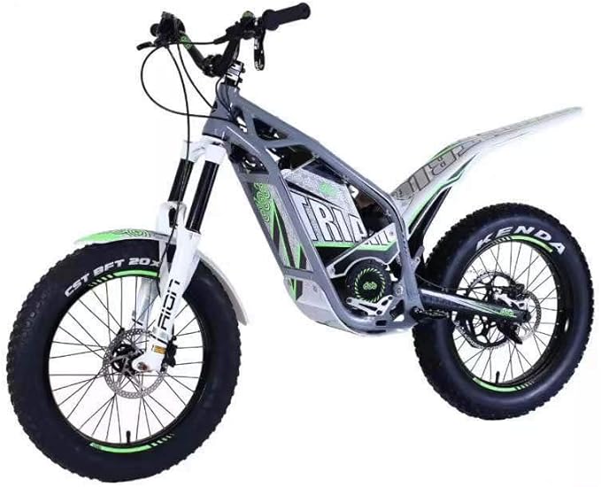 Amazon.com : SWORDlimit Dirt Bike D1 20 and 24 Inch Electric Dirt Bike for Adults, Electric 