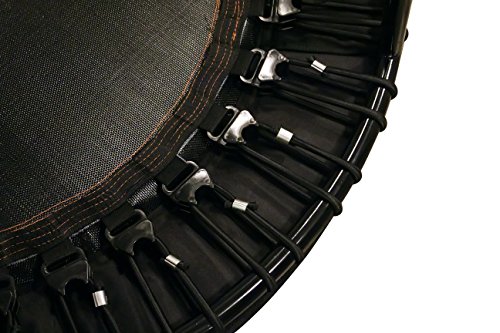 image for Leaps & ReBounds Bungee Rebounder V2 - In-Home Mini Trampoline - Safet