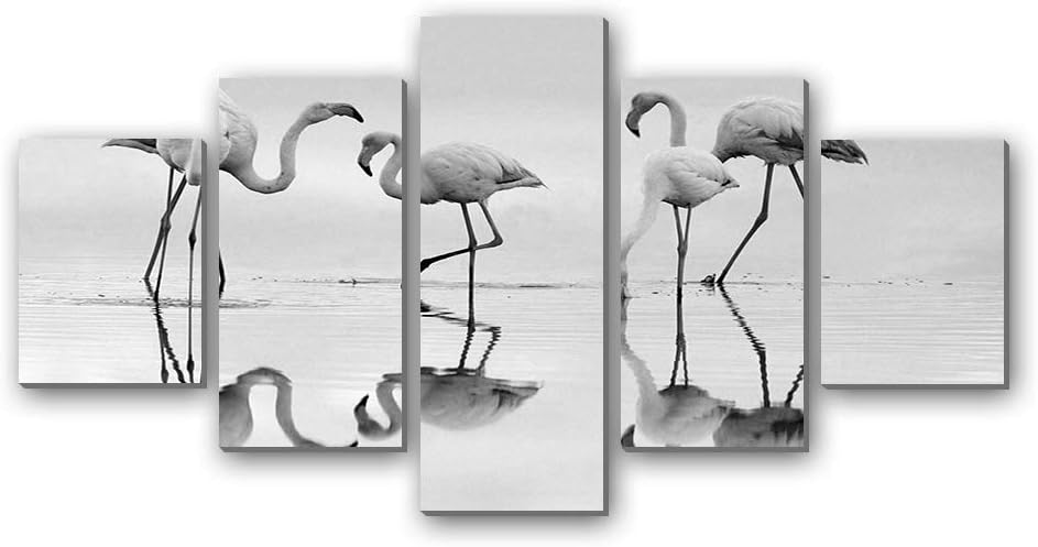 Amazon Co Jp オオフラミンゴフエンテデピエドララグーンスペイン美しい鳥 5枚 パネル アートパネル 現代壁の絵 壁掛け部屋飾り背景絵画 キャンバス写真 壁アートしゃしん 木枠付きの完成品 装飾 軽くて取り付けやすい 100cmx50cm 黒と白 ホーム キッチン