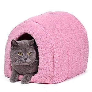 Amazon.com : PAWZ Road Pet Igloo Cat Bed for Cats and ...