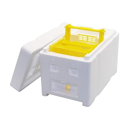 Amazon Com S World 4home 1 Pcs Home Hive Box Harvest Bee