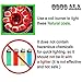 Coco Ala 108 Pcs Charcoal%100 Natural Organic Coconut Hookah Shisha Coal Hookah Coals