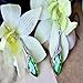 Voberry Fahion Women's Lady Crystal Marquise Cut Teardrop Wedding Hook Earrings Gift (Green)