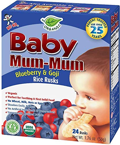 baby mum mum 6 months